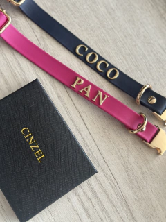 THE PET COLLAR en internet