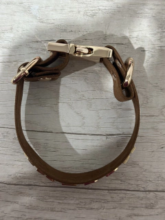 THE PET COLLAR - CINZEL.MX