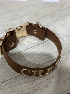 Imagen de THE PET COLLAR