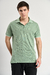Chomba clásica Green Orso Bianco, piqué de algodón, oso bordado, botones personalizados, cuello diferenciado, cuatro colores