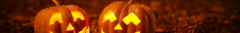 Banner de la categoría Hallowen 