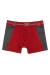 Cueca boxer Tales - loja online