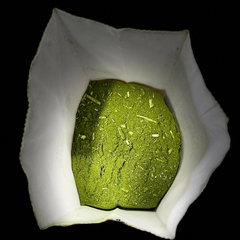 Combo 3un Tradicional Com Açucar 500g - Erva Mate Tia Joana | Loja Especializada em Tereré e Chimarrão