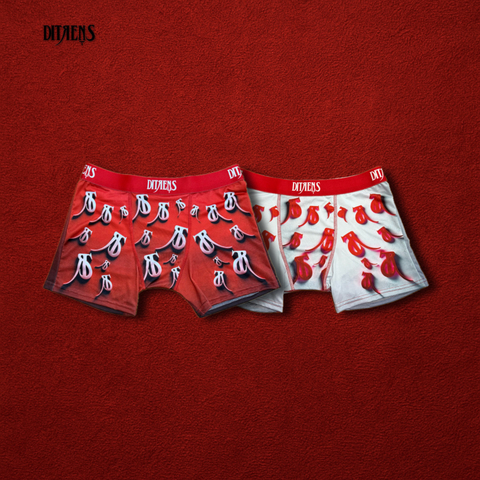 Boxers DITRENS X2 ❷ COLECCION - comprar online