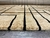 Alfombra Genesis Geo Plus Cream Black - kreatex