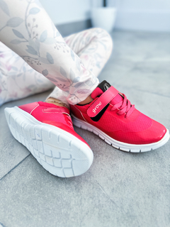 TERNI K2 - tienda online
