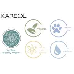Kareol Brazilian Keratin Alisado Brasileño · Todo Tipo De Cabello + Kit Post - comprar en línea