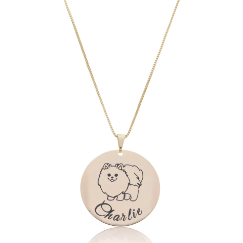 COLAR REDONDO PET E NOME - BANHADO OURO 18K EX 0056