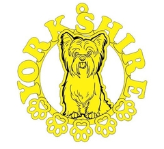 Imagem do MANDALA DE PET - BANHADO OURO 18K MD 20 SIMPLES