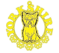 Imagem do MANDALA DE PET - BRUTO SHOWROOM