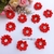 Laço Flor Pétala - comprar online