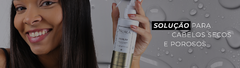 Banner da categoria Cabelos Secos e Porosos