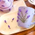 Kit Lanche Caneca + Prato Coleção Lavanda