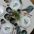 Prato Raso Coleção Silvestre - Dona Fulô Decor