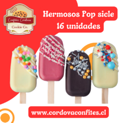 Caja de 16 Popsicles bizcocho con chocolate