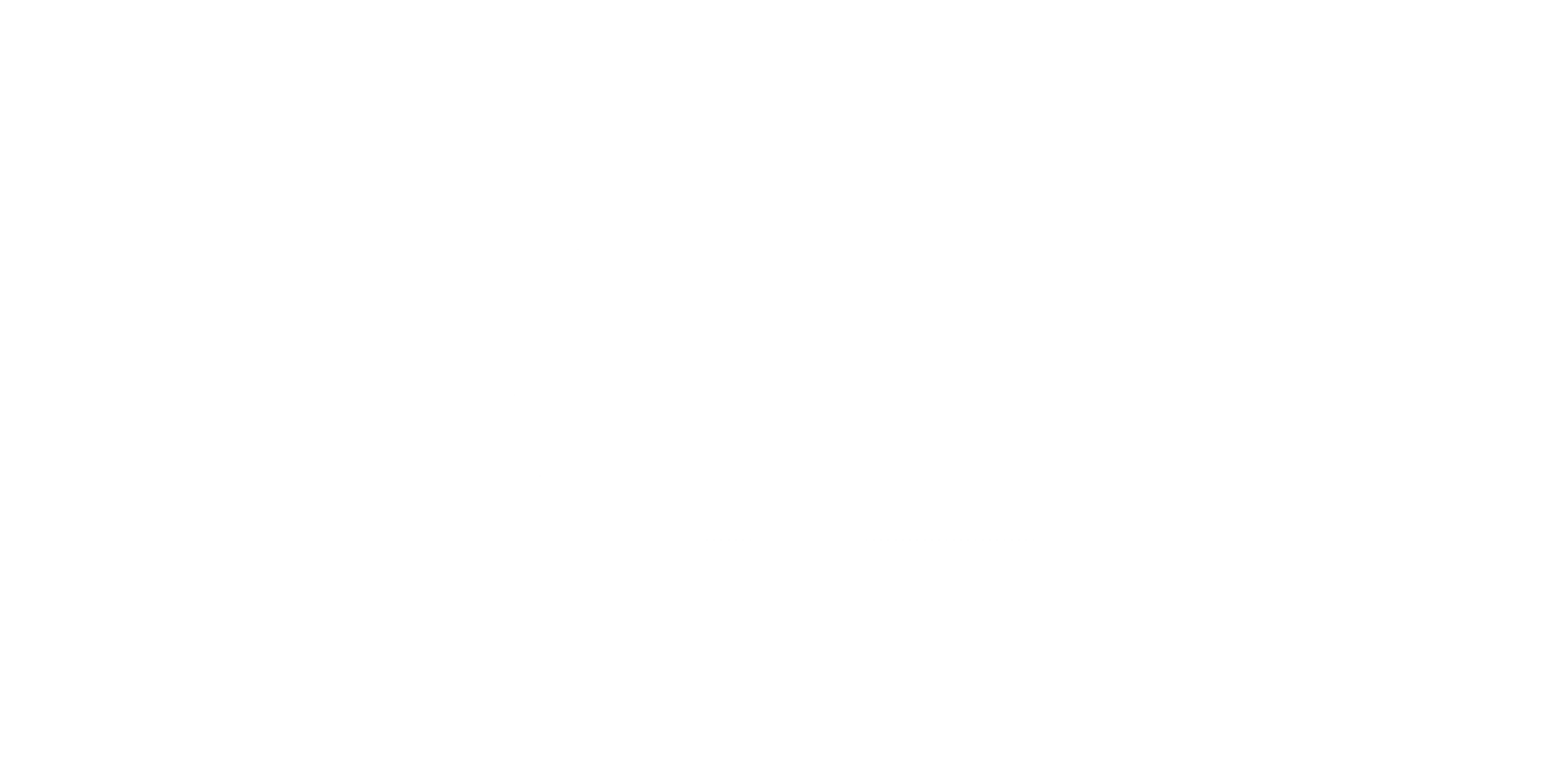 CZ Smartwatch