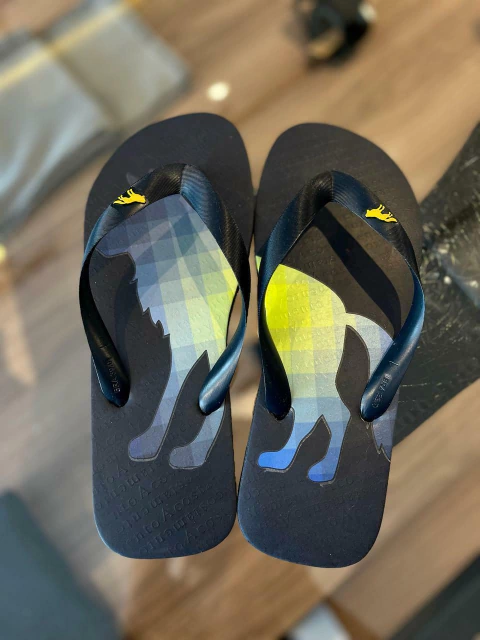 Chinelo Acostamento Preto com Estampa Lobo em Degradê Neon - Acostamento