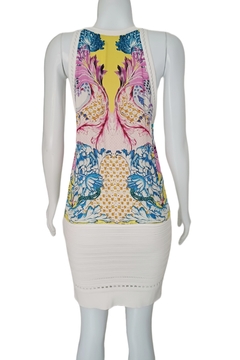 Vestido Roberto Cavalli na internet