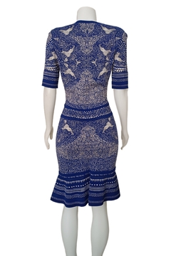 Vestido Roberto Cavalli na internet