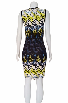 Vestido Roberto Cavalli na internet