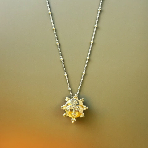 Cara del Sol & cadena - comprar online