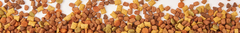 Banner de la categoría Gato