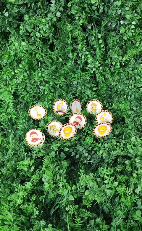 BANDEIRINHA DE DOCINHO ISOFESTAS C/10 SAFARI