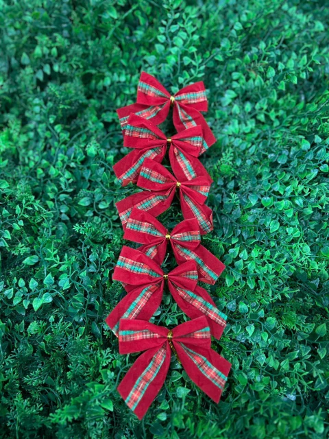 LAÇO TEMMA 7CM C/6 XADREZ