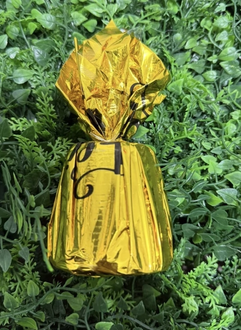 PESO PARA BALÃO NEOTRENTINA 240G SORTIDO