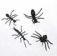 DECORAÇÃO HALLOWEEN BRASILFLEX C/12 ARANHA E CIA