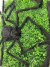 DECORAÇÃO ARANHA PELUCIADA 2M - TEMMA - comprar online