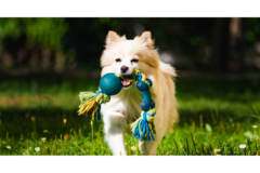 Banner da categoria Brinquedos