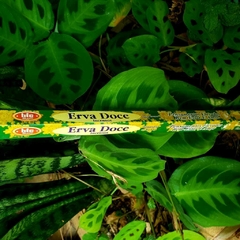 Incenso Erva Doce - Bic Brand - loja online