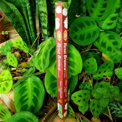 Incenso Rosa Branca - Bic Brand