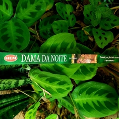 Incenso Dama da noite - Hem Tradicional - loja online
