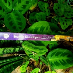 Incenso dos milagres - Flute Tradicional - loja online