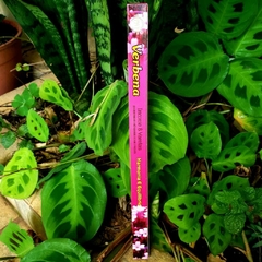 Incenso Verbena - Flute Tradicional