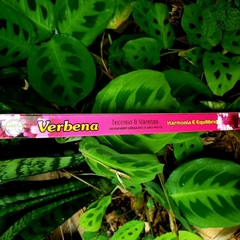 Incenso Verbena - Flute Tradicional - loja online
