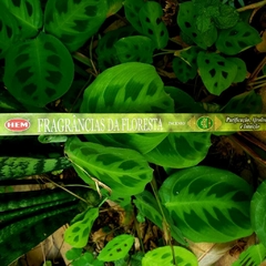 Incenso Fragâncias da Floresta - Hem Tradicional - loja online