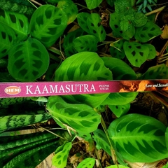 Incenso Kaamasutra - Hem Tradicional - loja online