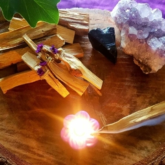 Palo Santo in Natura na internet