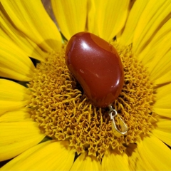 Imagem do Pingente Jaspe Vermelho - Vitalidade e Proteção