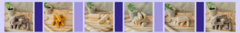 Banner da categoria Croquetes