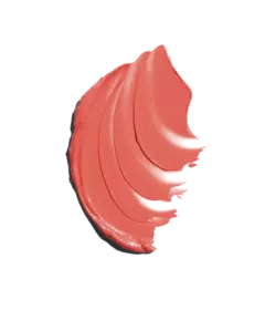 PRÉ ENCOMENDA - Blush & Lip stick - R.e.m Beauty na internet