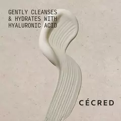 PRÉ ENCOMENDA - Shampoo Hidratante - CÉCRED - Beyoncé na internet