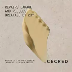 PRÉ ENCOMENDA - Máscara de Tratamento Reconstrutora - CÉCRED - Beyoncé - Butterflies Perfumes