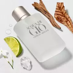 Perfume Giorgio Armani Acqua Di Gio Eau de Toilette Masculino 100ML