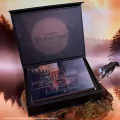 PRÉ ENCOMENDA - Paleta Twilight x Glamlite Team Jacob - Original - comprar online