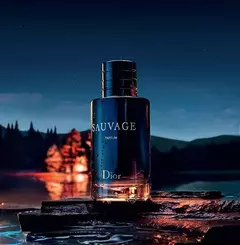 Perfume Christian Dior Sauvage Eau de Toilette Masculino 100ML