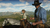 Red Dead Redemption 2 XBOX - comprar online